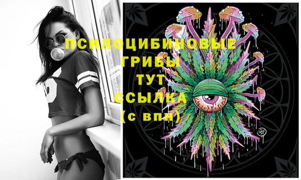 соль курить ск Протвино
