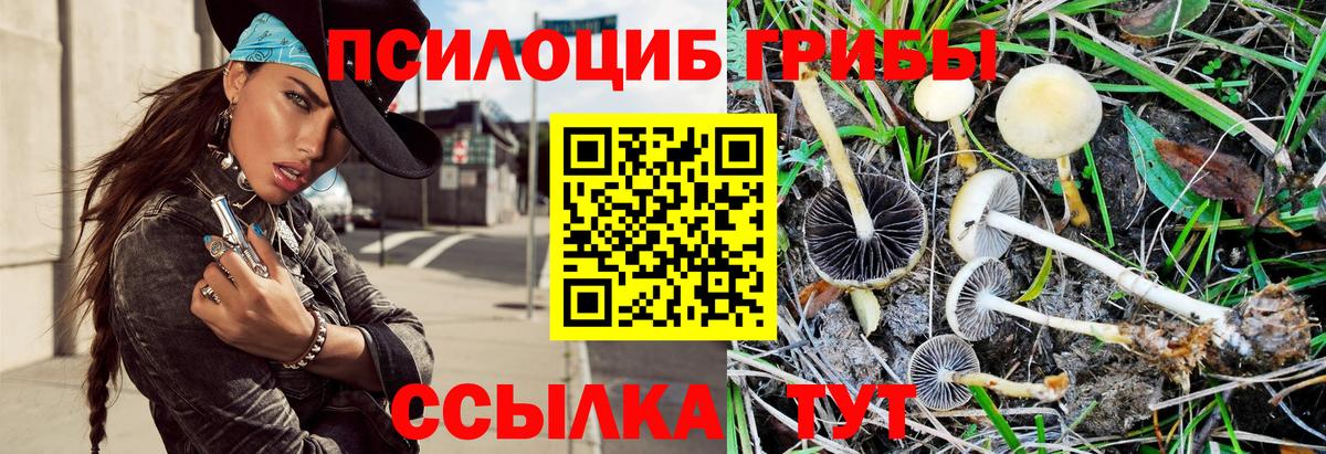 Старая Русса  Псилоцибиновые грибы MAGIC MUSHROOMS  дарнет шоп  Вход с VPN 