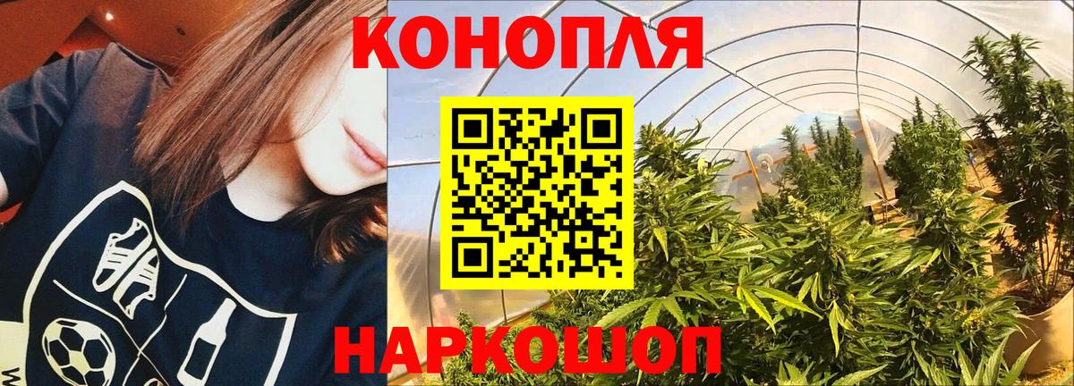 Марихуана VHQ  Канабис MAZAR  Старая Русса  Вход с VPN 